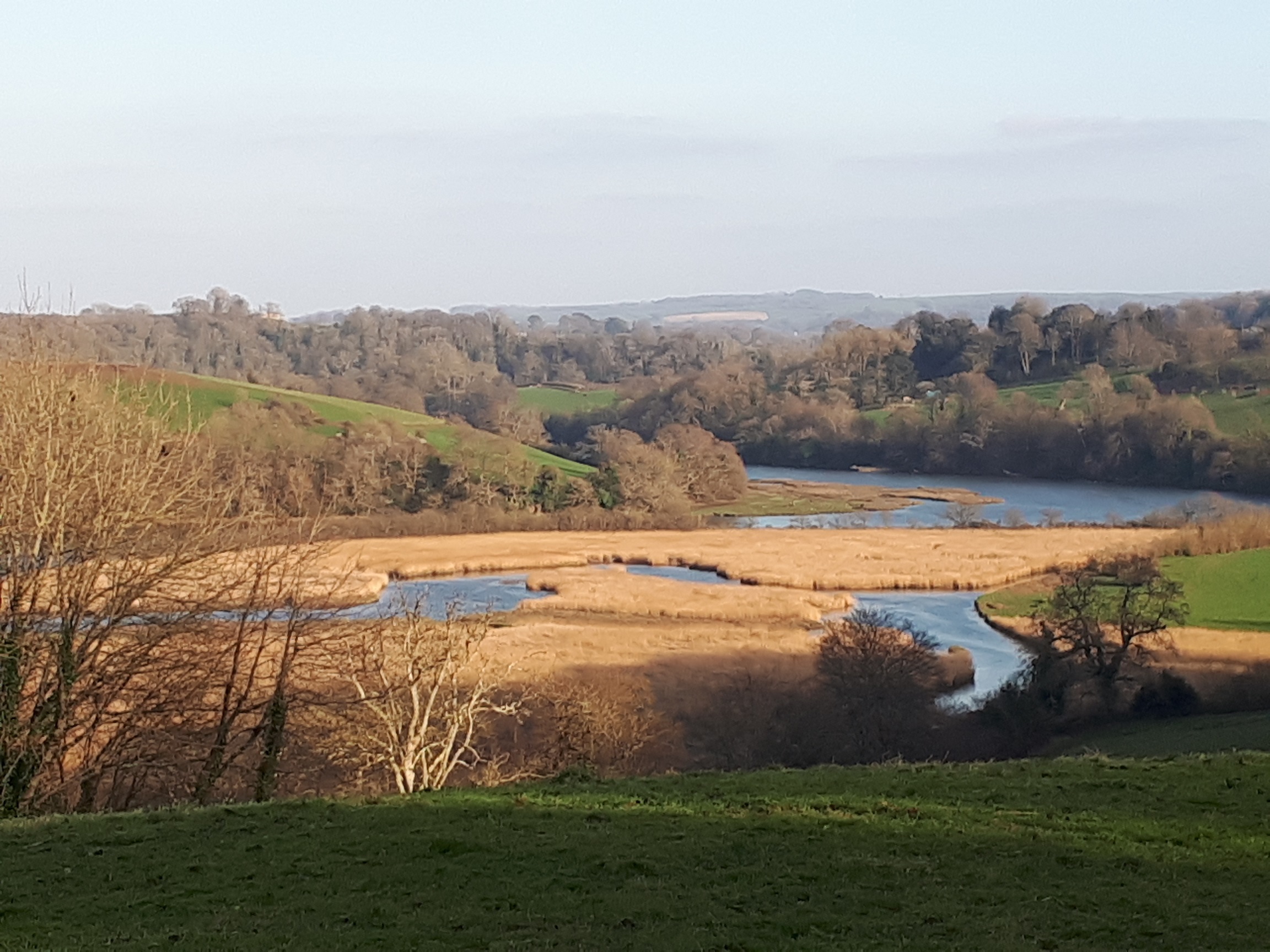 View down the River Dart from Sharpham Estate Totnes Pulse
