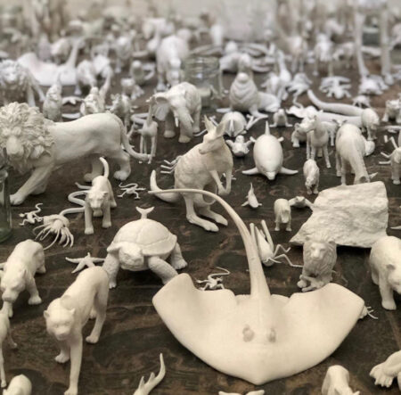 G H O S T installation by Sarah Strachan