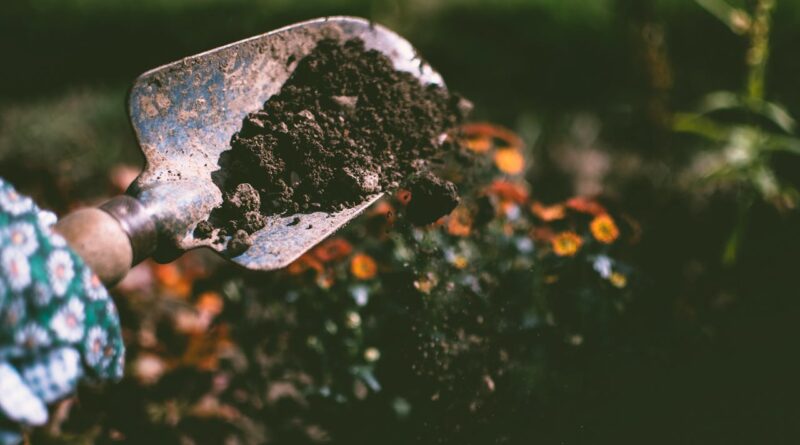 Photo by Lisa Fotios: https://www.pexels.com/photo/person-digging-on-soil-using-garden-shovel-1301856/