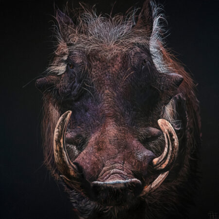 Warthog by wildlife artist Steve Nayer