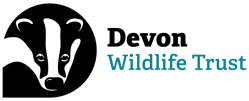 Devon Wildlife Trust