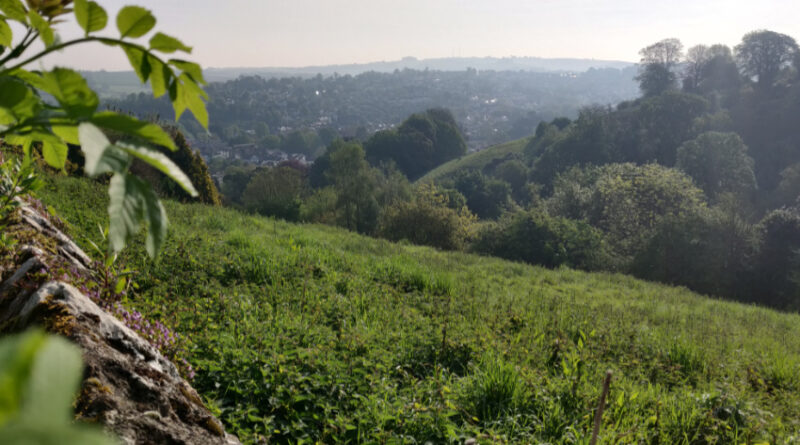 Kingsbridge Hill Totnes