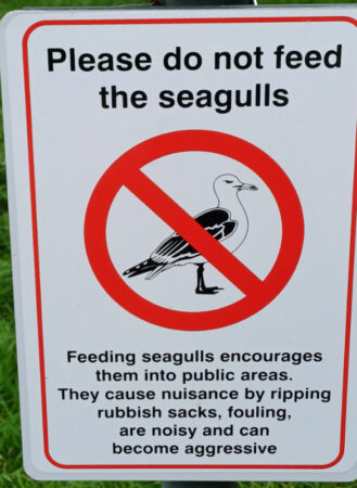Sign advising not to feed seagulls