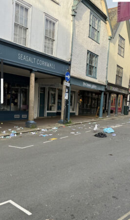Seagull vandalism on Totnes High Street