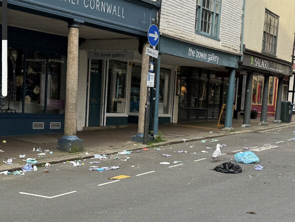 Seagull vandalism on Totnes High Street