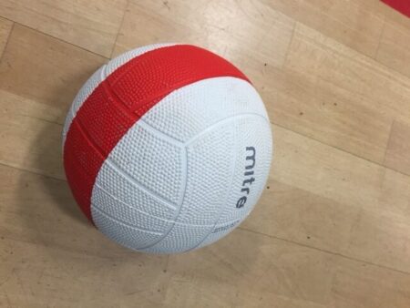 Visually Impaired Cricket Ball