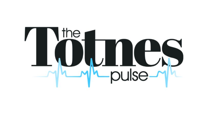 Totnes Pulse Logo