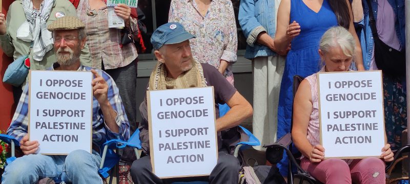 Palestine Protest in Totnes - image by Peter Shearn