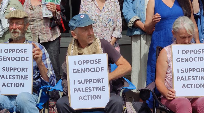 Palestine Protest in Totnes - image by Peter Shearn