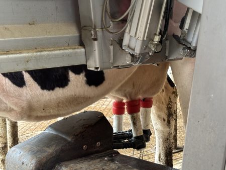 The How Now Robotic Milking Parlour - Image by Zoe Clough