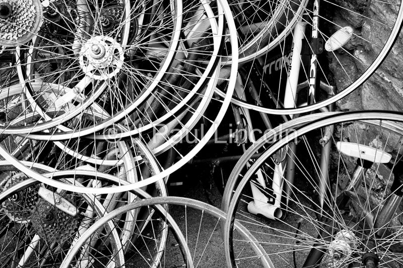 Be-Spoke image by Jeffery Lincoln