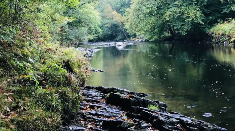 The River Dart