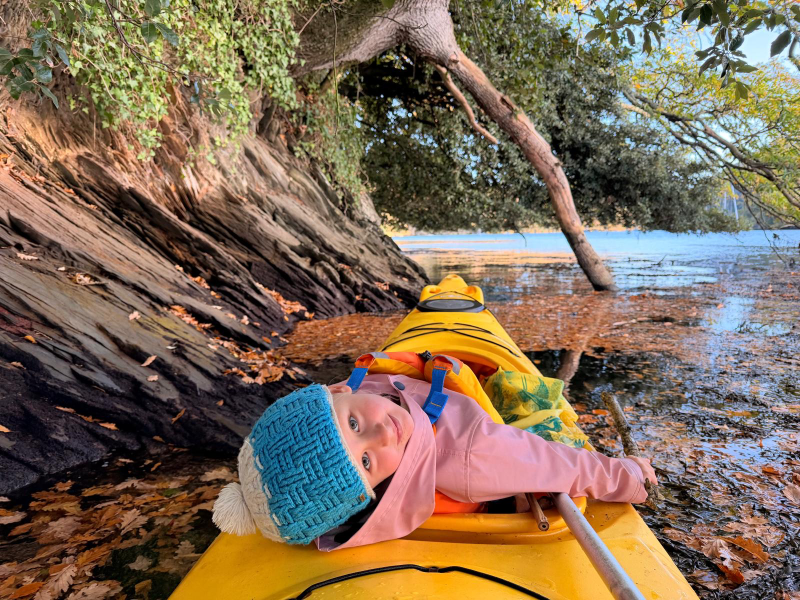 Friends of the Dart Flotilla