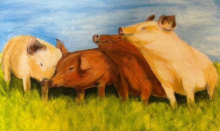 Ali Wills - Piggy Love