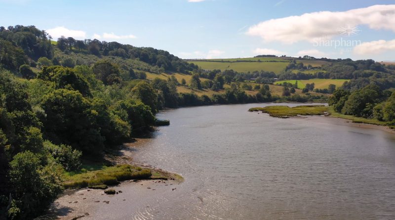 Saltmarsh at The Sharpham Trust