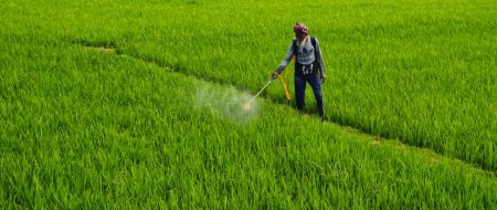 Photo by Dibakar Roy: https://www.pexels.com/photo/man-working-on-a-field-20841294/