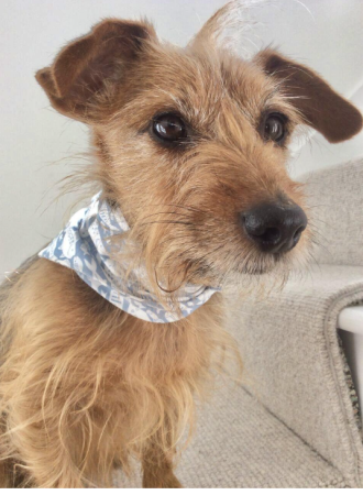 Tuppence - Christine Sweetman