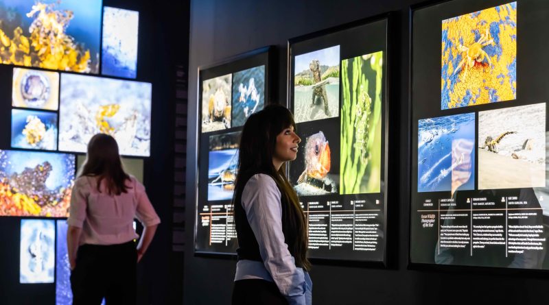 The Historic Dockyard Chatham - Ocean Photographer of the Year Exhibition 2026-Image credit Oliver Dixon