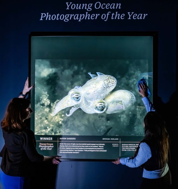 The Historic Dockyard Chatham - Ocean Photographer of the Year Exhibition 2026 - Image credit Oliver Dixon