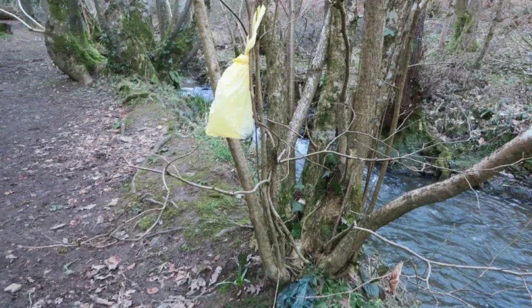 Image by Adrian Coulson