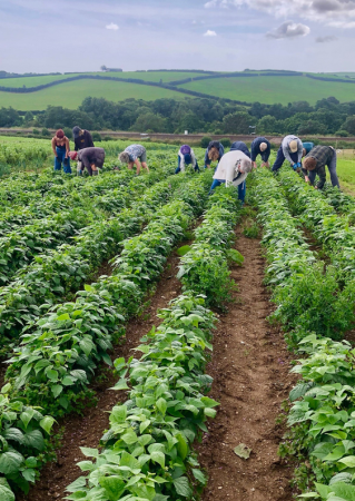 Food In Community CIC Totnes