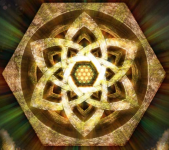 Pollen Tribe