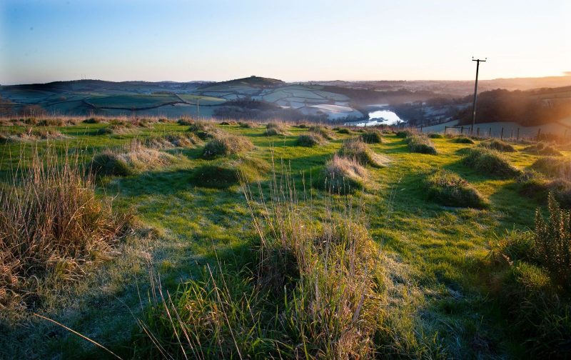 Sharpham burial ground by Kate Mount