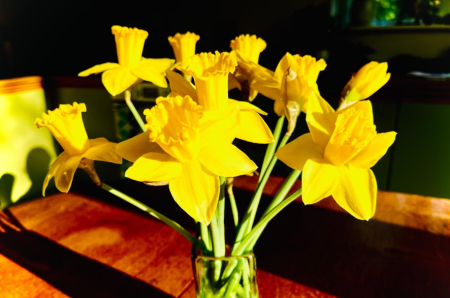 Image by Christine Sweetman