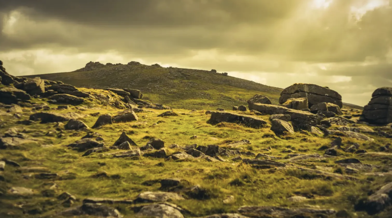 Susannah and the Noise