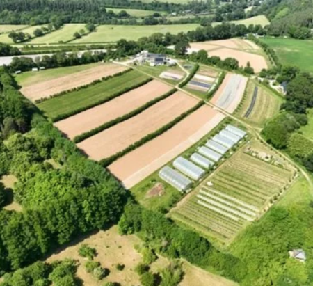 Bowden Pillars Farmland