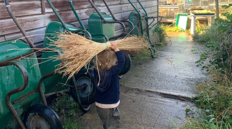 Devon Grows Flax events draw in young and old