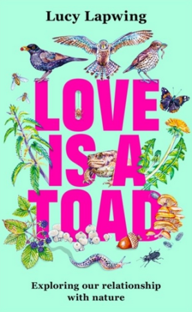 Love is a toad by Lucy Lapwing