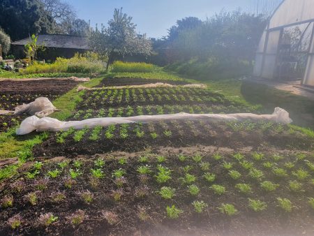 Walled garden - by Bryony