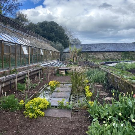 Sharpham Walled garden & glasshouse