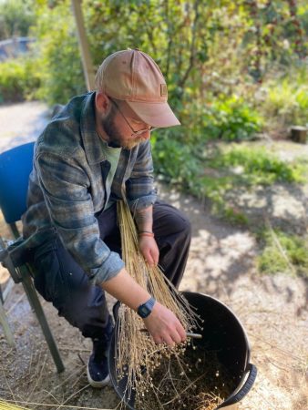 Flax rippling, the removal of seed bolls prior to processing