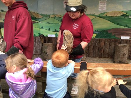 Totnes Small Breeds Farm