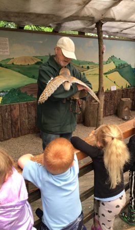 Totnes Small Breeds Farm