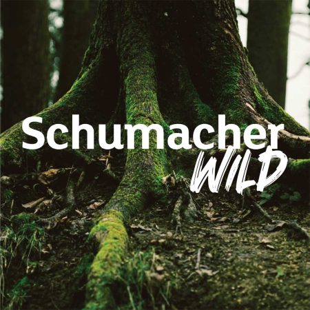 Schumacher Wild