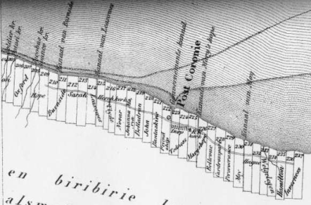 Suriname Coronie Coast Plantations Totness image courtesy Totnes Museum